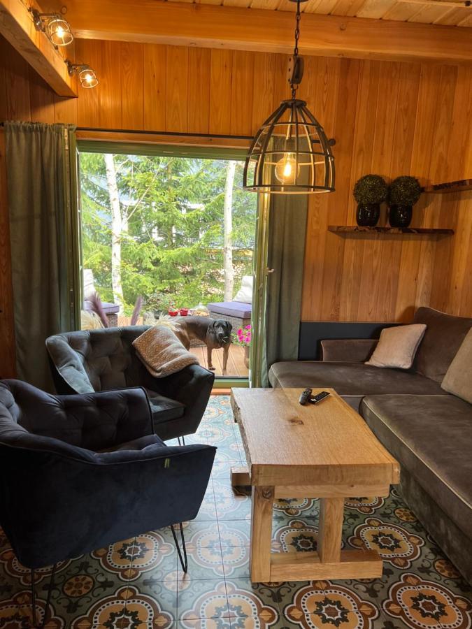 Chalet Pod Trojmorskim Wierchem Miedzylesie (Silesia)